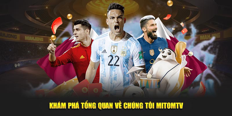 Khám phá tổng quan về chúng tôi MitomTV