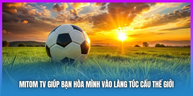 Vấn đề người xem cần chú ý khi liên hệ với kênh